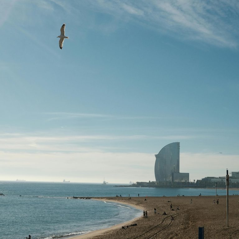 Good vibes only Barcelona tour