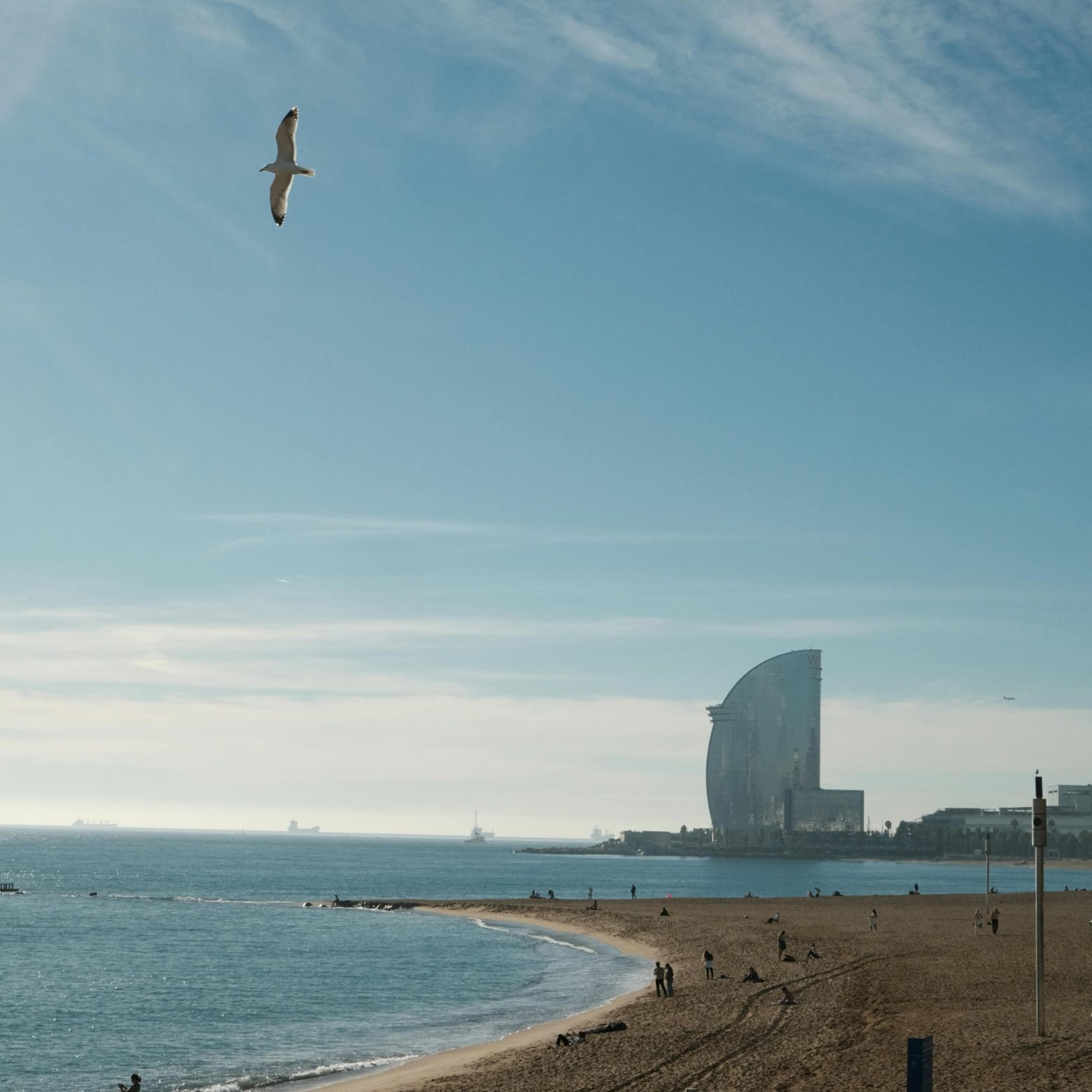 Good vibes only Barcelona tour